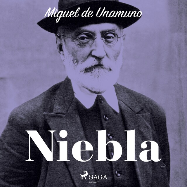 Book cover for Niebla