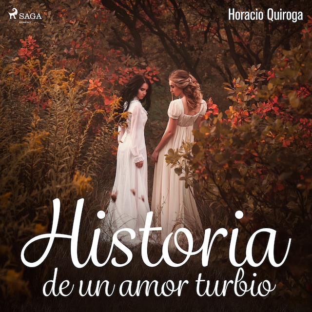 Kirjankansi teokselle Historia de un amor turbio