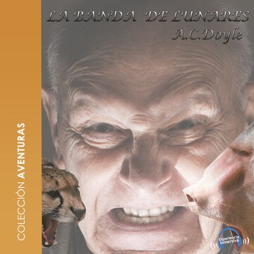 bookCoverFor