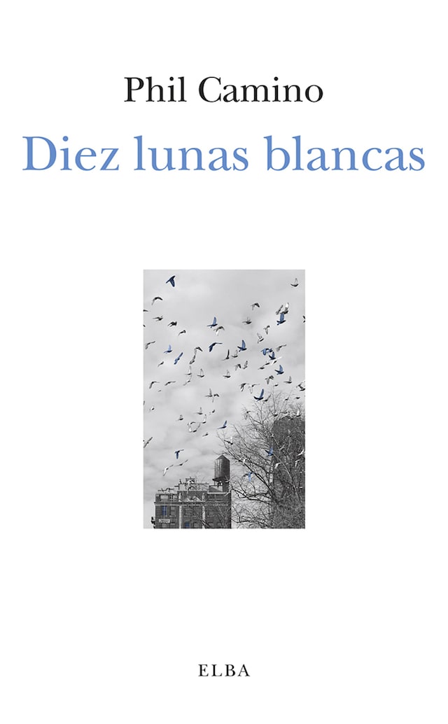 Book cover for Diez lunas blancas