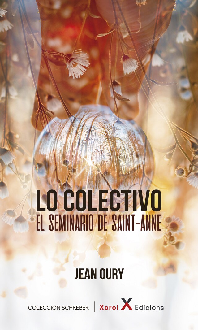 Book cover for Lo Colectivo