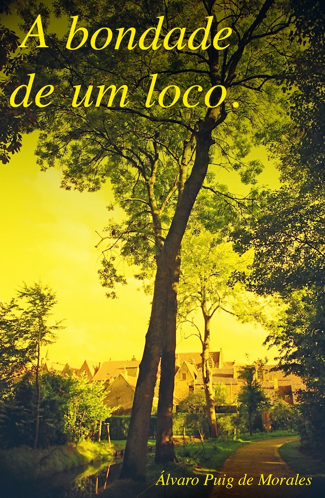 Book cover for A bondade de um loco
