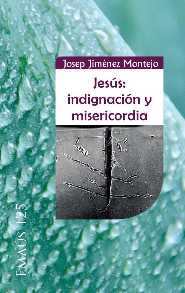 Okładka książki dla Jesús: indignación y misericordia