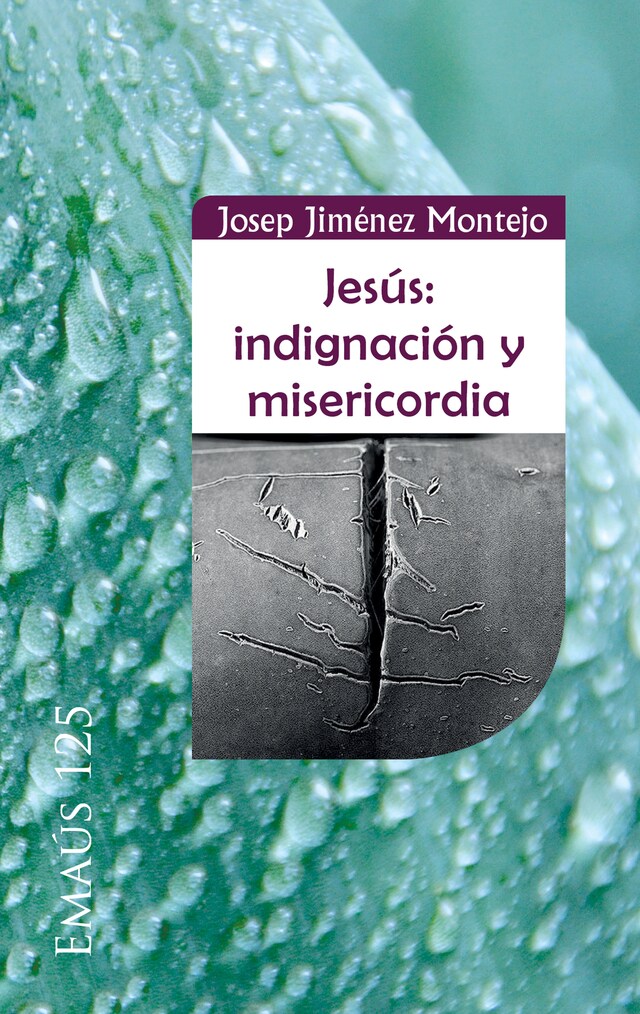 Book cover for Jesús: indignación y misericordia