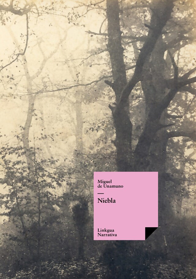 Buchcover für Niebla