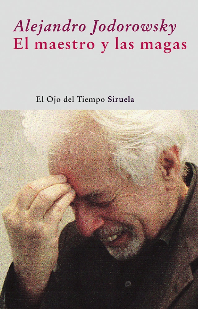 Buchcover für El maestro y las magas