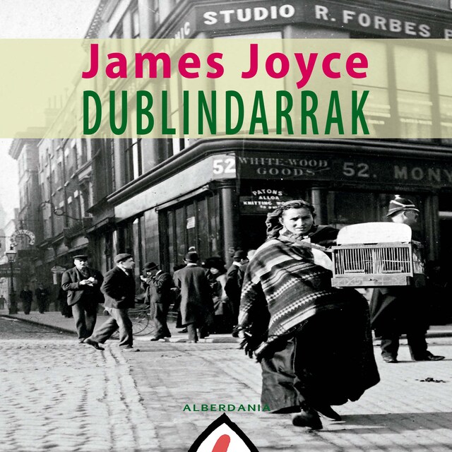 Book cover for Dublindarrak