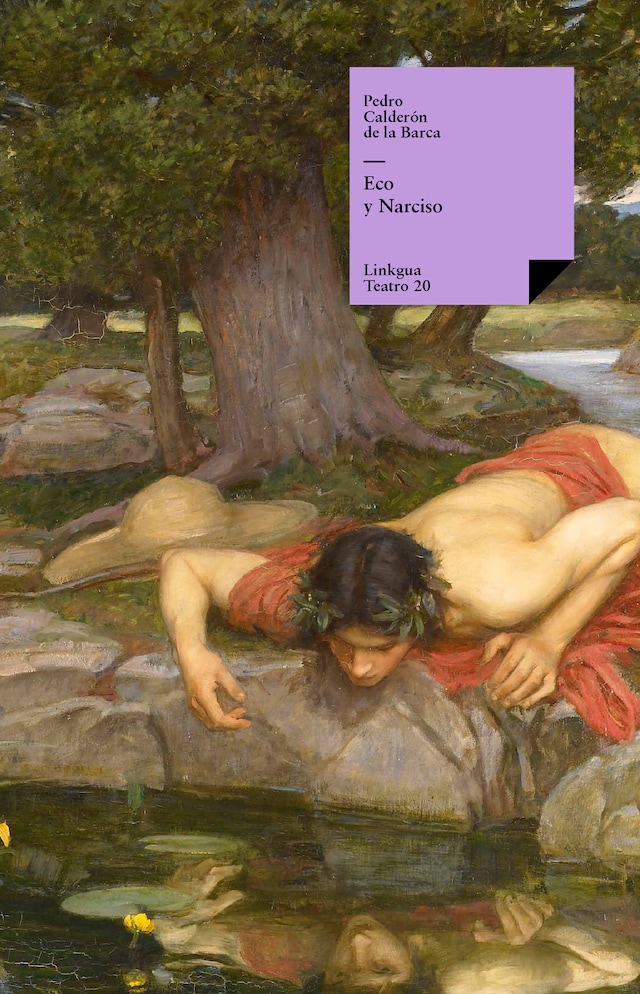 Okładka książki dla Eco y Narciso