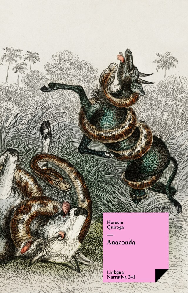 Book cover for Anaconda