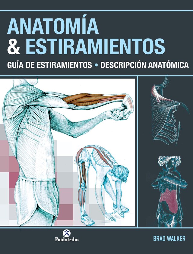 Boekomslag van Anatomía & Estiramientos