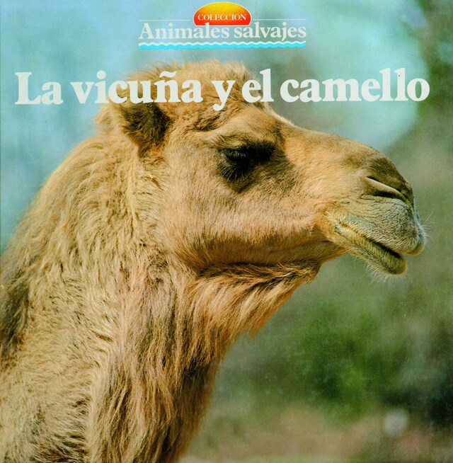 Book cover for La vicuña y el camello