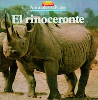 El rinoceronte