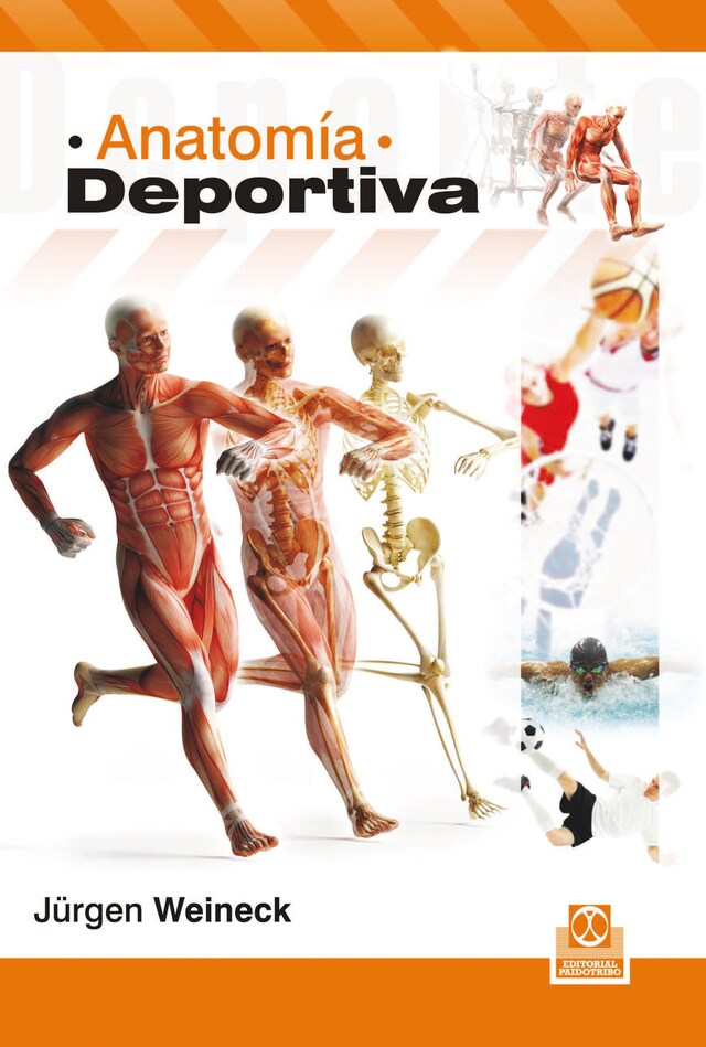 Copertina del libro per Anatomía deportiva