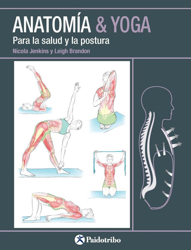 Portada de libro para Anatomía & Yoga