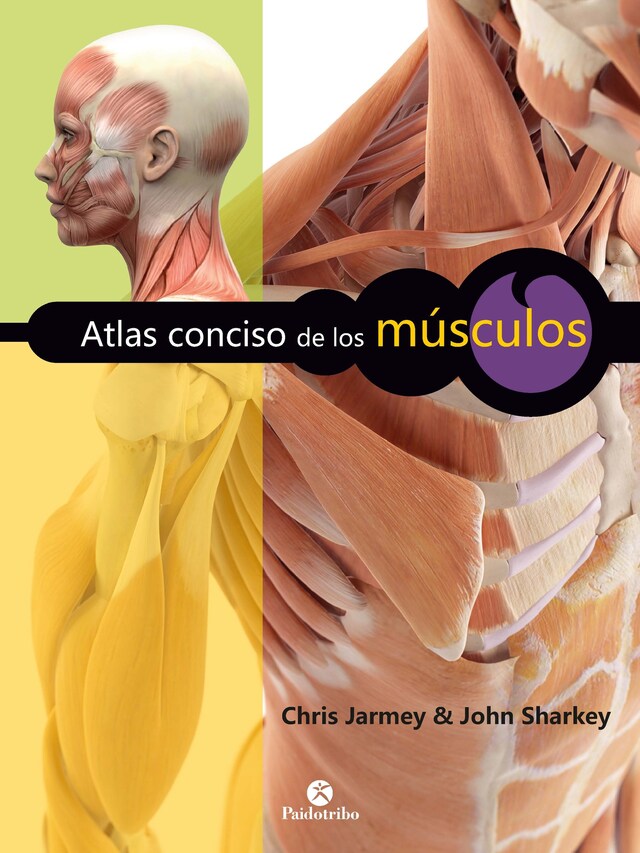 Couverture de livre pour Atlas conciso de los músculos (Color)