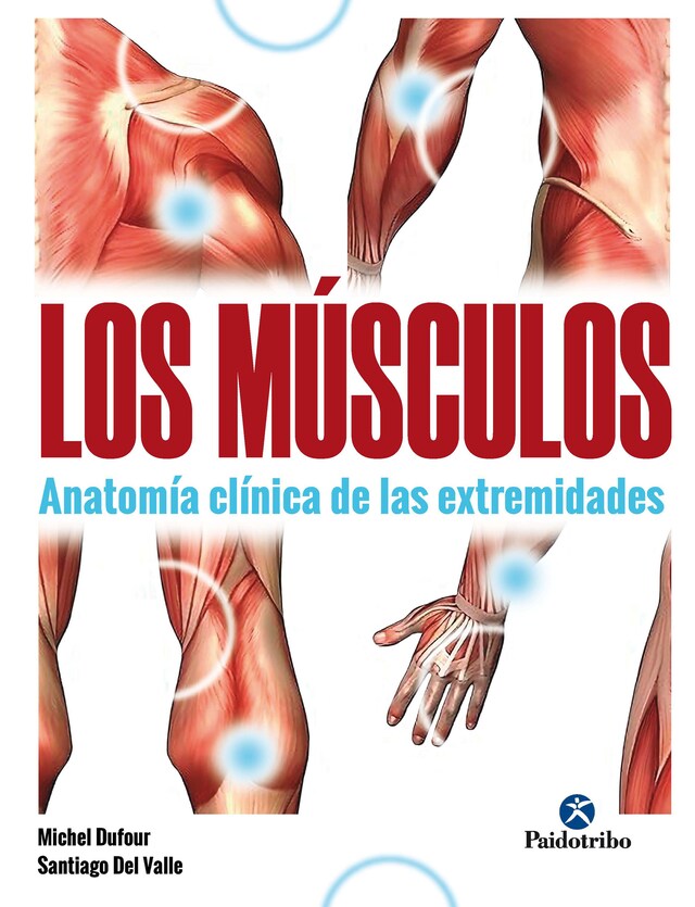 Book cover for Los músculos