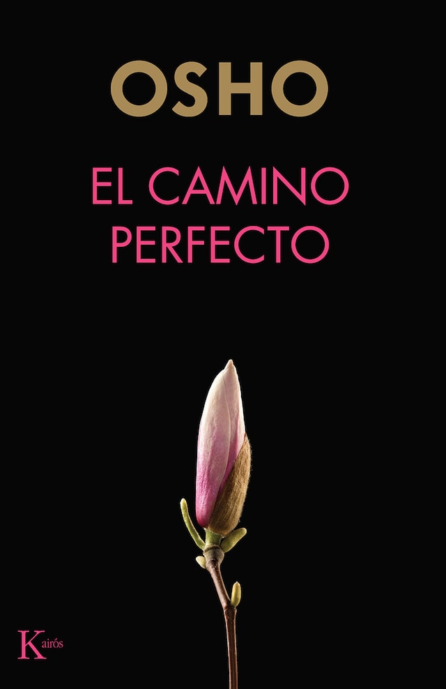 Book cover for El camino perfecto