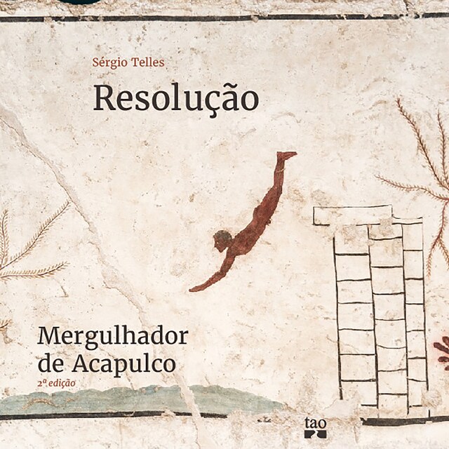 Boekomslag van Resolução