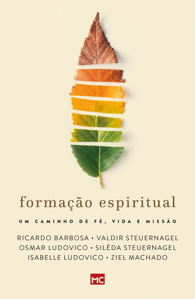 Bogomslag for Formação espiritual