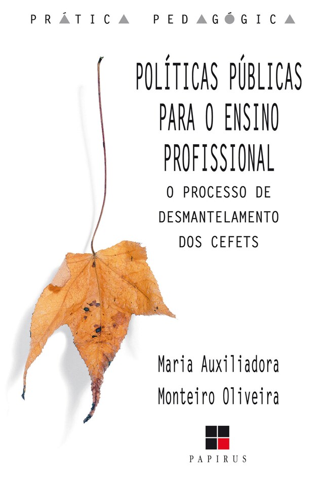 Copertina del libro per Políticas públicas para o ensino profissional