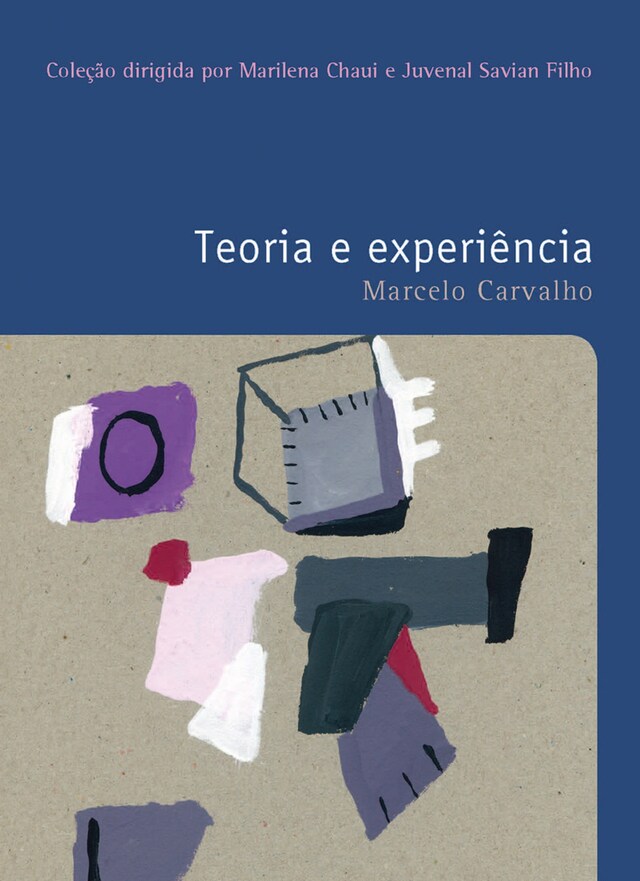 Book cover for Teoria e experiência