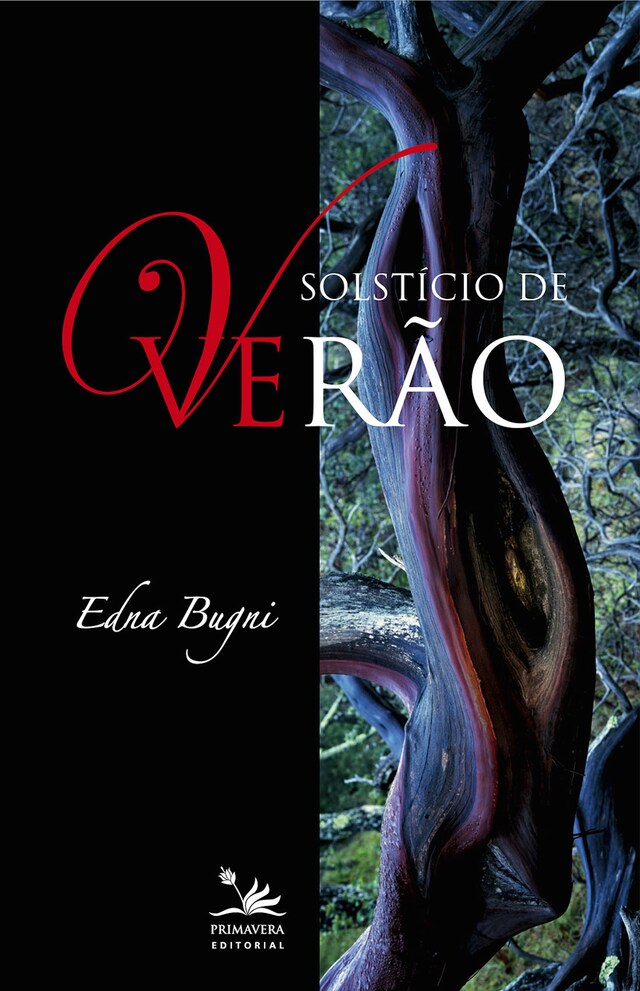 Copertina del libro per Solstício de verão