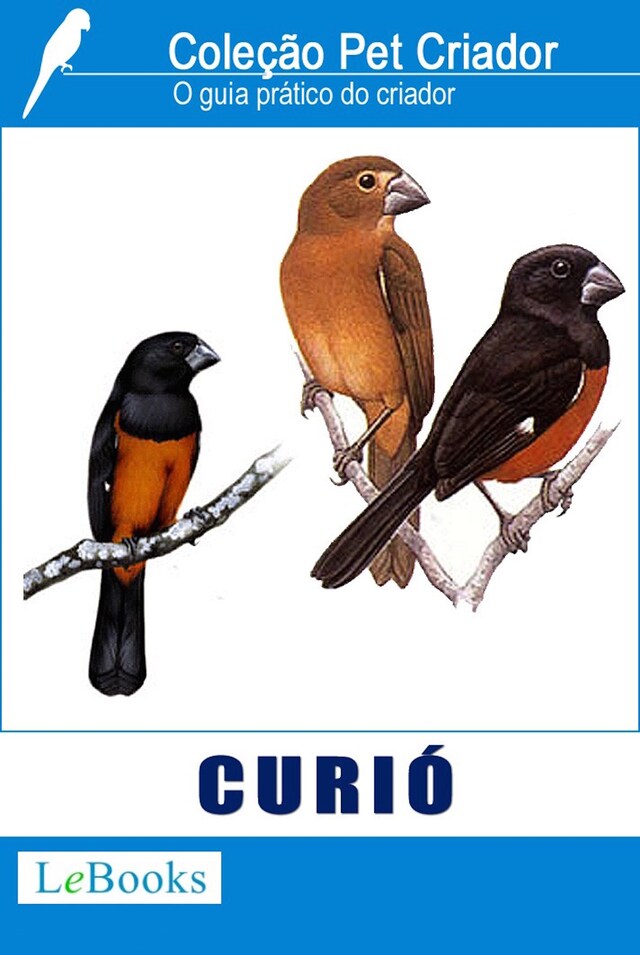 Book cover for Curió