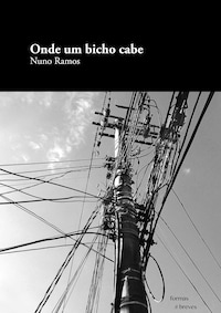 Onde um bicho cabe