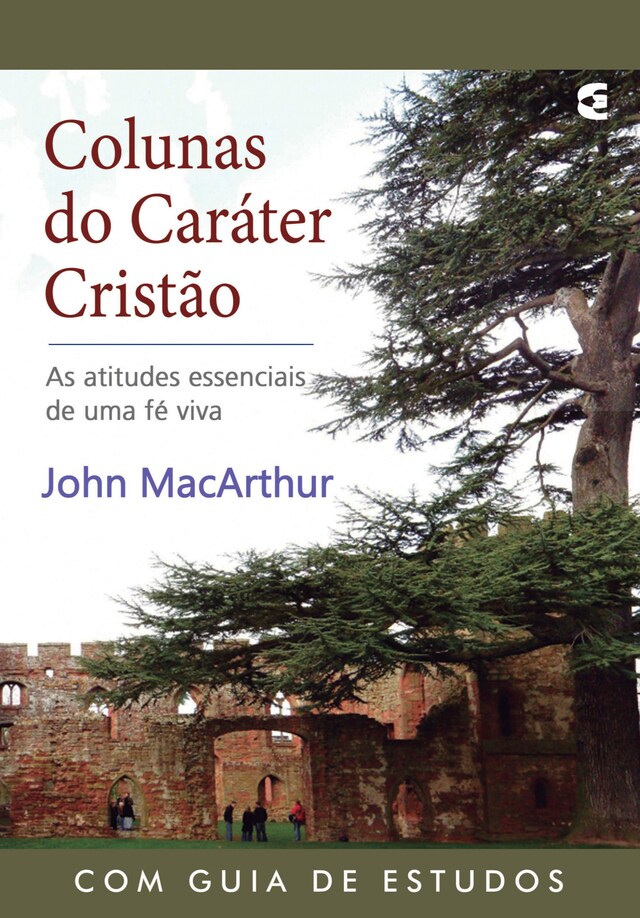 Buchcover für Colunas do caráter cristão