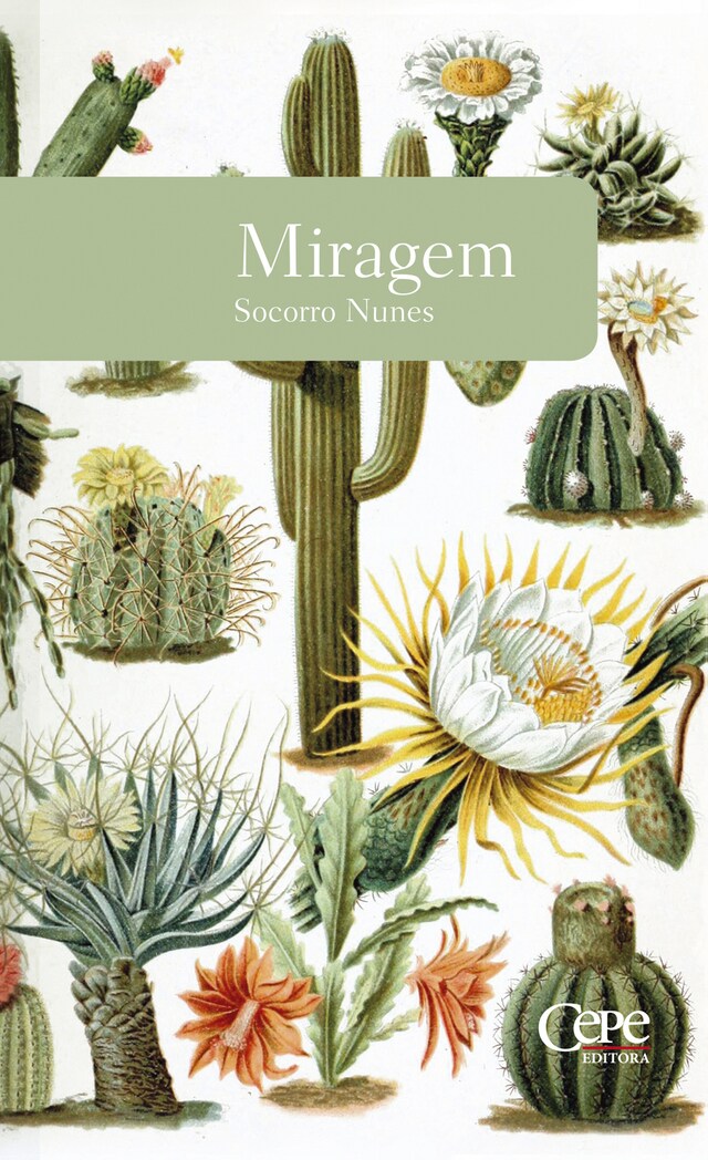 Couverture de livre pour Miragem