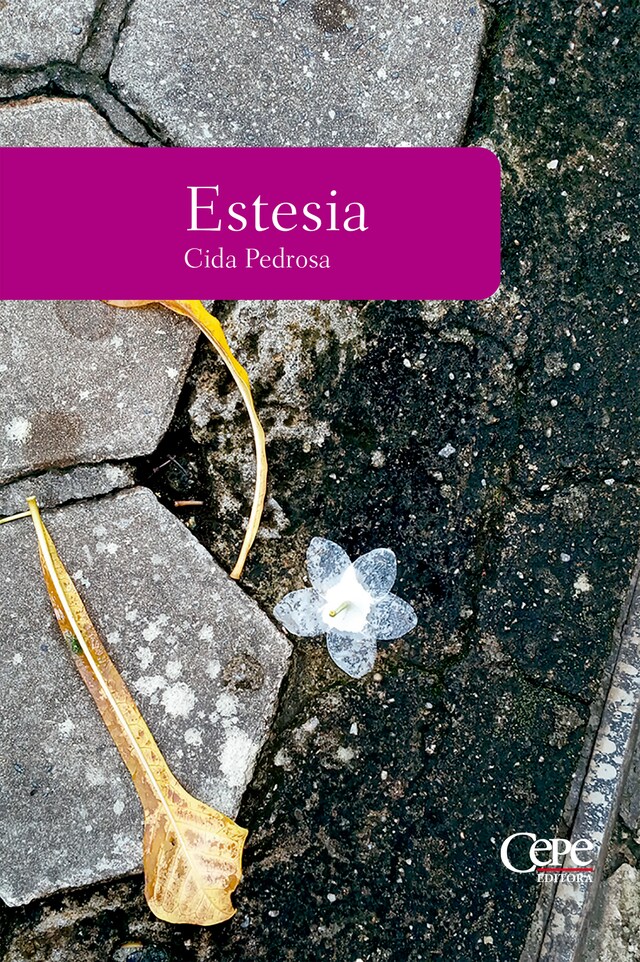 Copertina del libro per Estesia