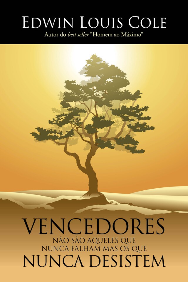 Book cover for Vencedores não são aqueles que nunca falham mas os que nunca desistem