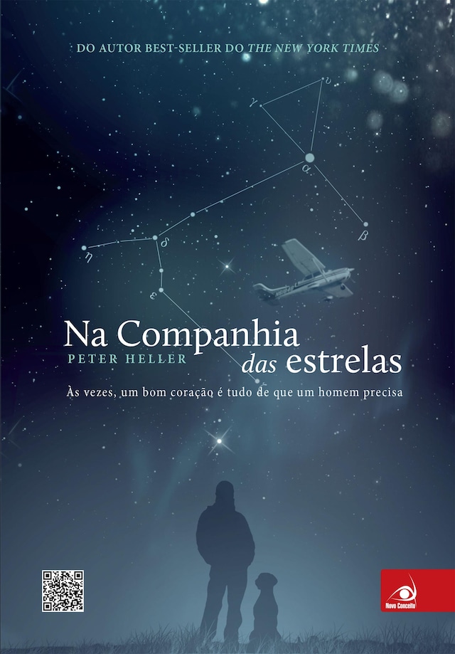 Book cover for Na companhia das estrelas