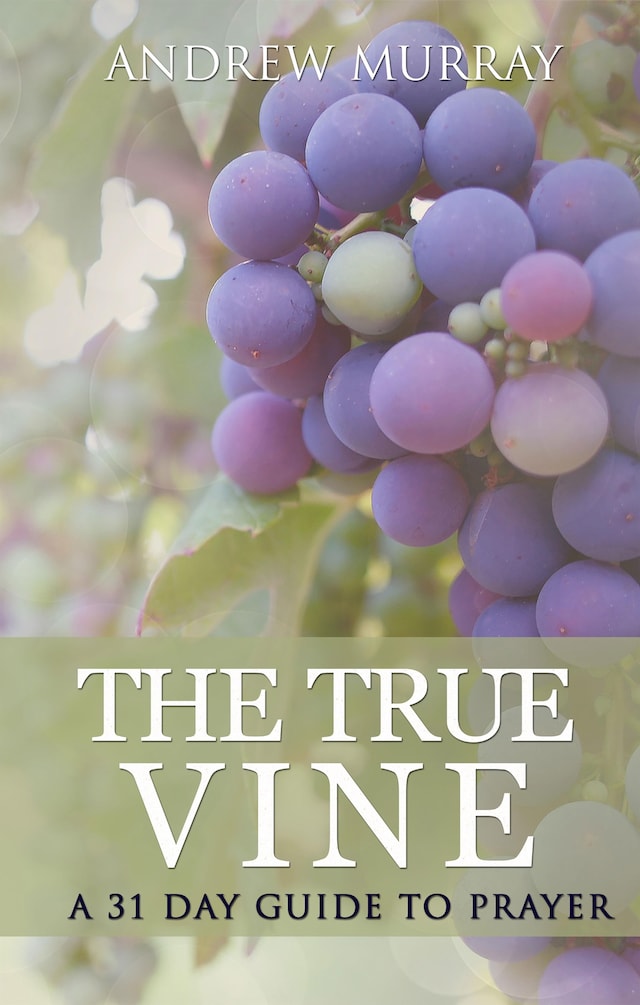 Book cover for The True Vine: a 31 day guide to prayer