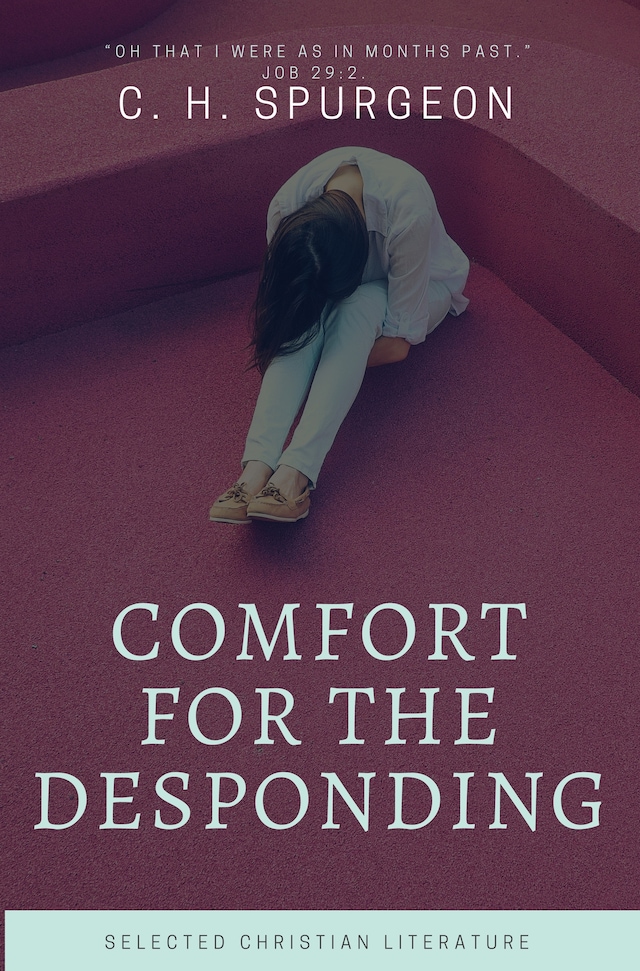 Boekomslag van Comfort for the Despoding