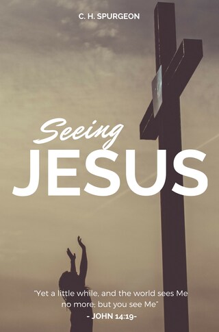 Seeing Jesus bookCoverFor