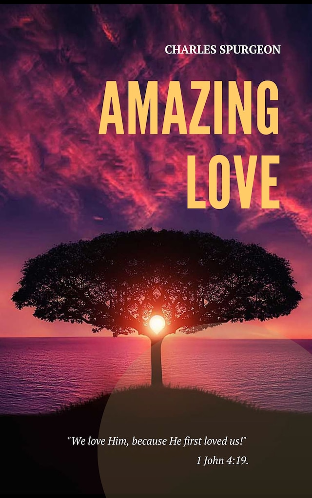 Boekomslag van Amazing Love