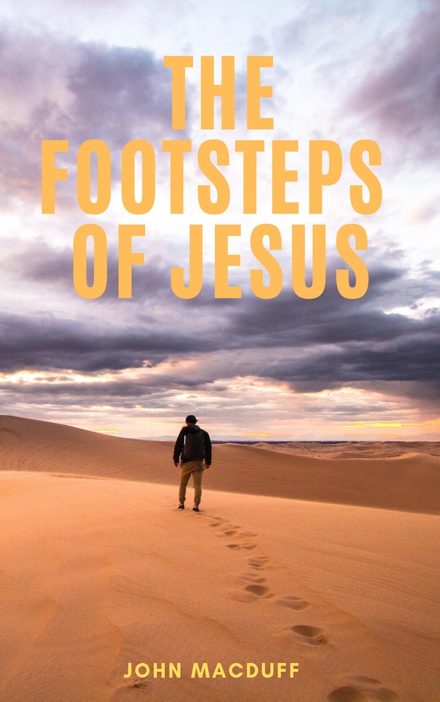 Book cover for The Footsteps of Jesus