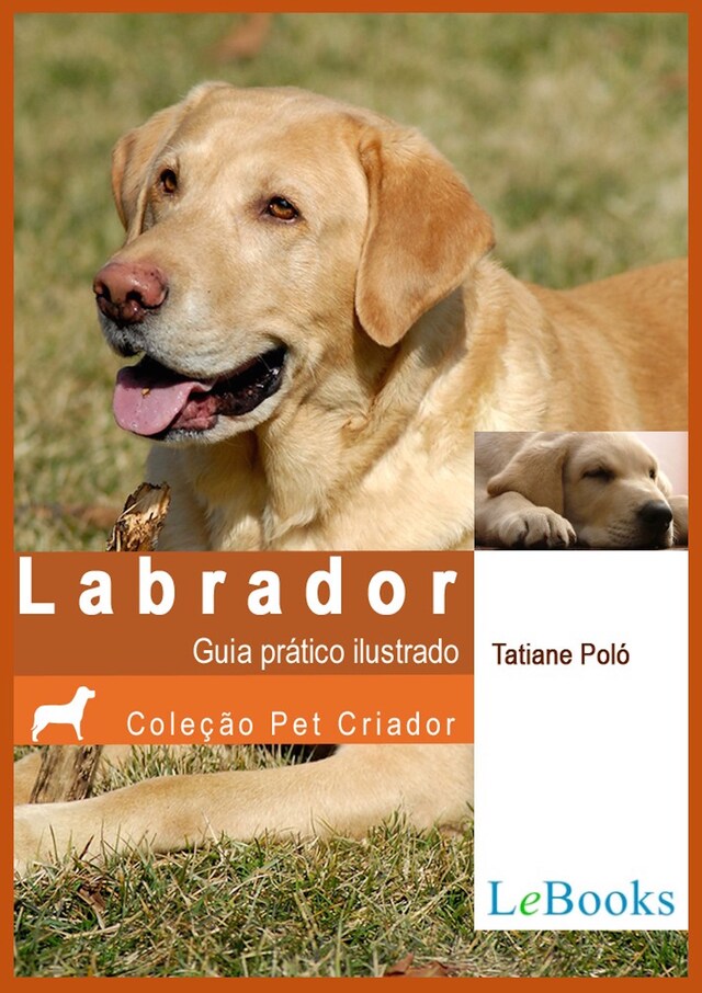 Book cover for Labrador