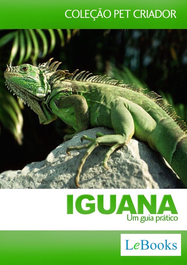 Book cover for Iguana