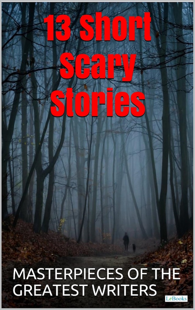 Bogomslag for 13 Short Scary Stories