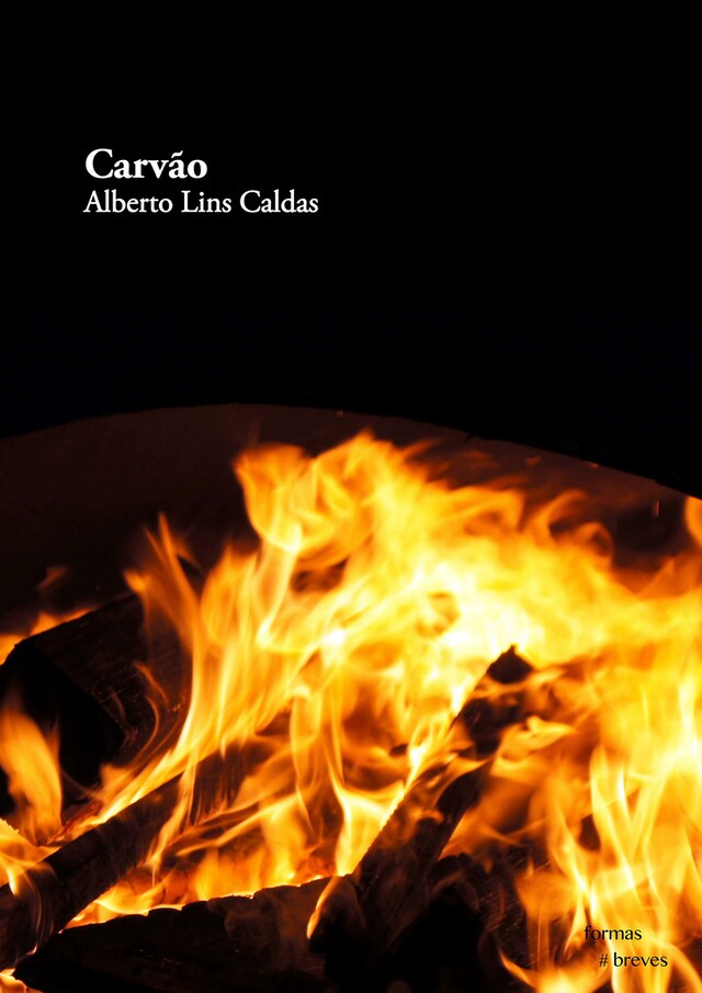Book cover for Carvão
