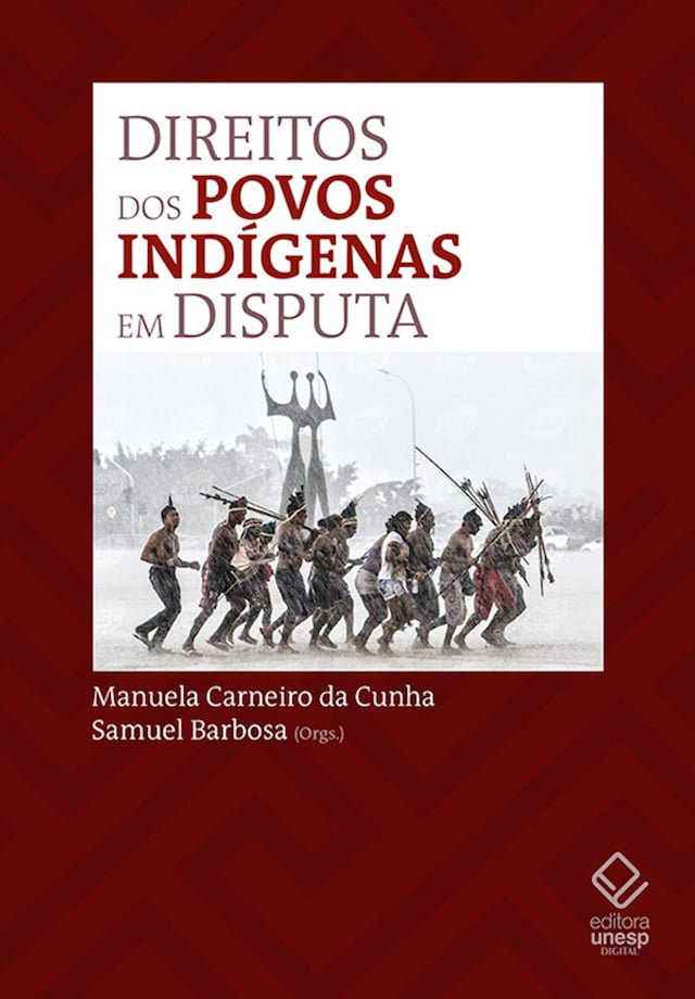 Copertina del libro per Direitos dos povos indígenas em disputa no STF