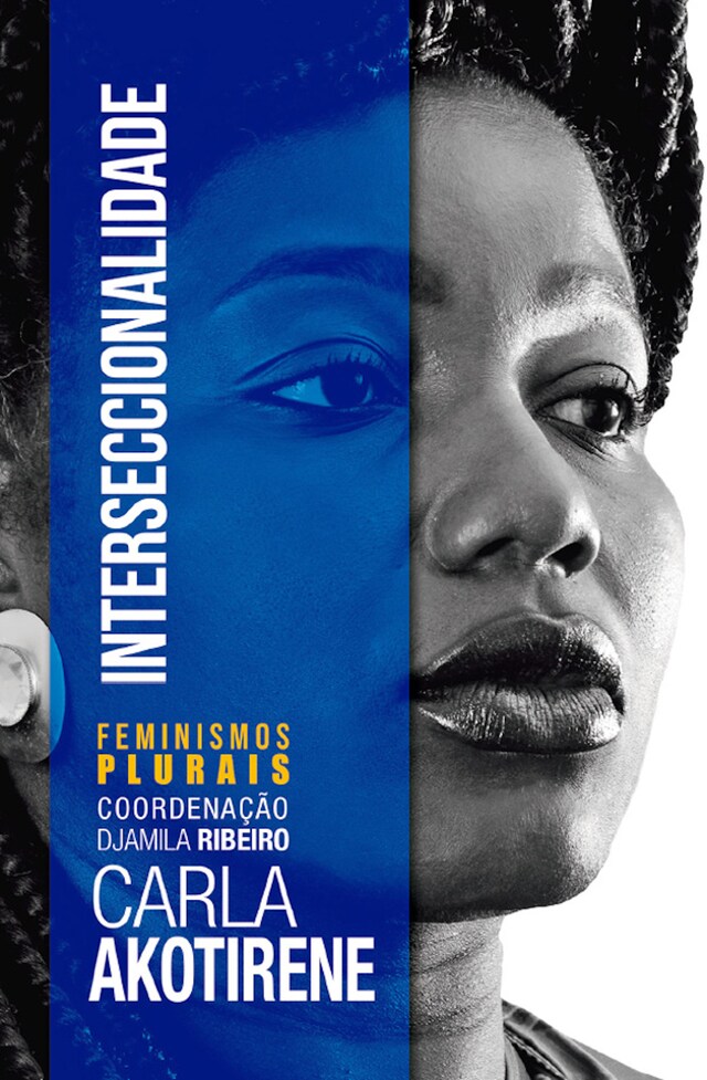 Couverture de livre pour Interseccionalidade