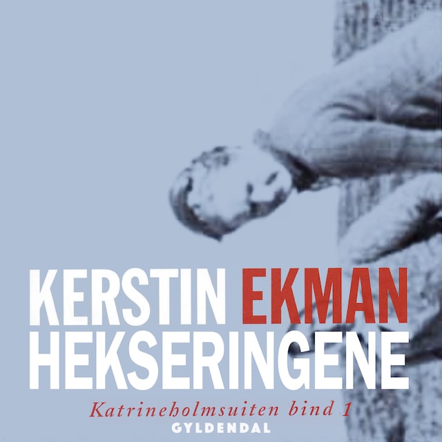 Book cover for Hekseringene