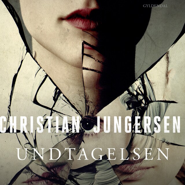 Book cover for Undtagelsen