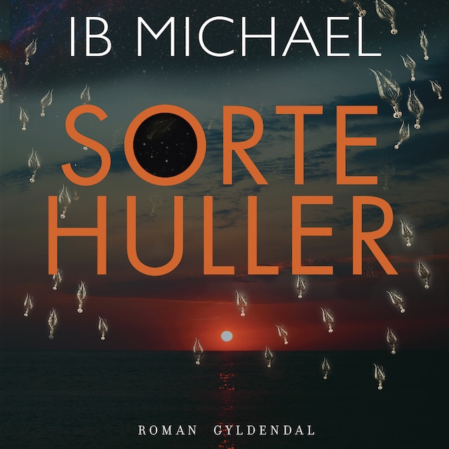 Book cover for Sorte huller