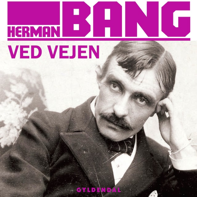 Bogomslag for Ved vejen