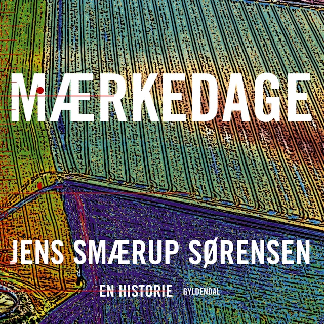 Book cover for Mærkedage