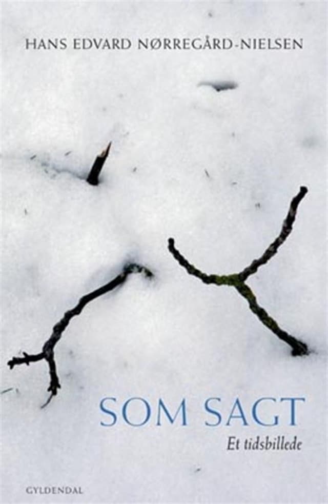 Book cover for Som Sagt. Et tidsbillede